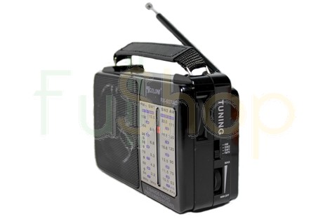 Портативный радиоприемник Golon RX-607АС