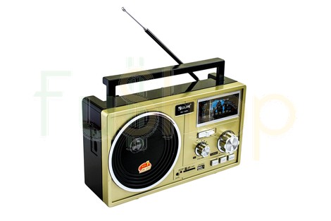 Портативний радіоприймач Golon RX-1425