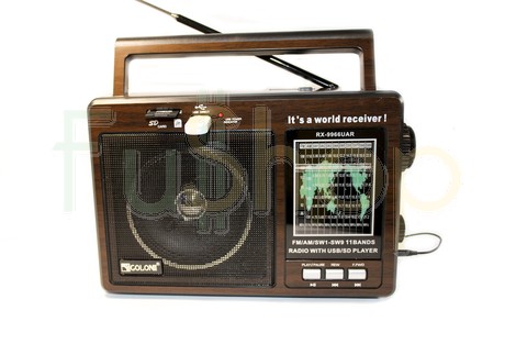Портативний радіоприймач Golon RX-9966UAR