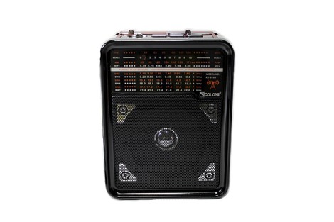 Портативний радіоприймач Golon RX-9100