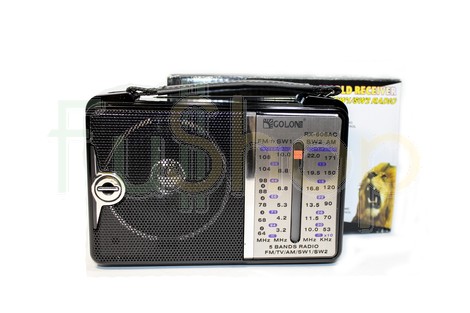 Портативний радіоприймач Golon RX-606АС
