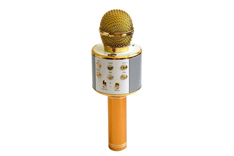 Беспроводная портативная Bluetooth колонка + караоке-микрофон WS-858 Wireless Microphone and Hi-Fi Speaker
