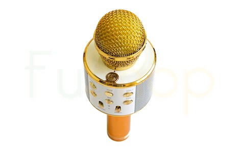 Беспроводная портативная Bluetooth колонка + караоке-микрофон WS-858 Wireless Microphone and Hi-Fi Speaker